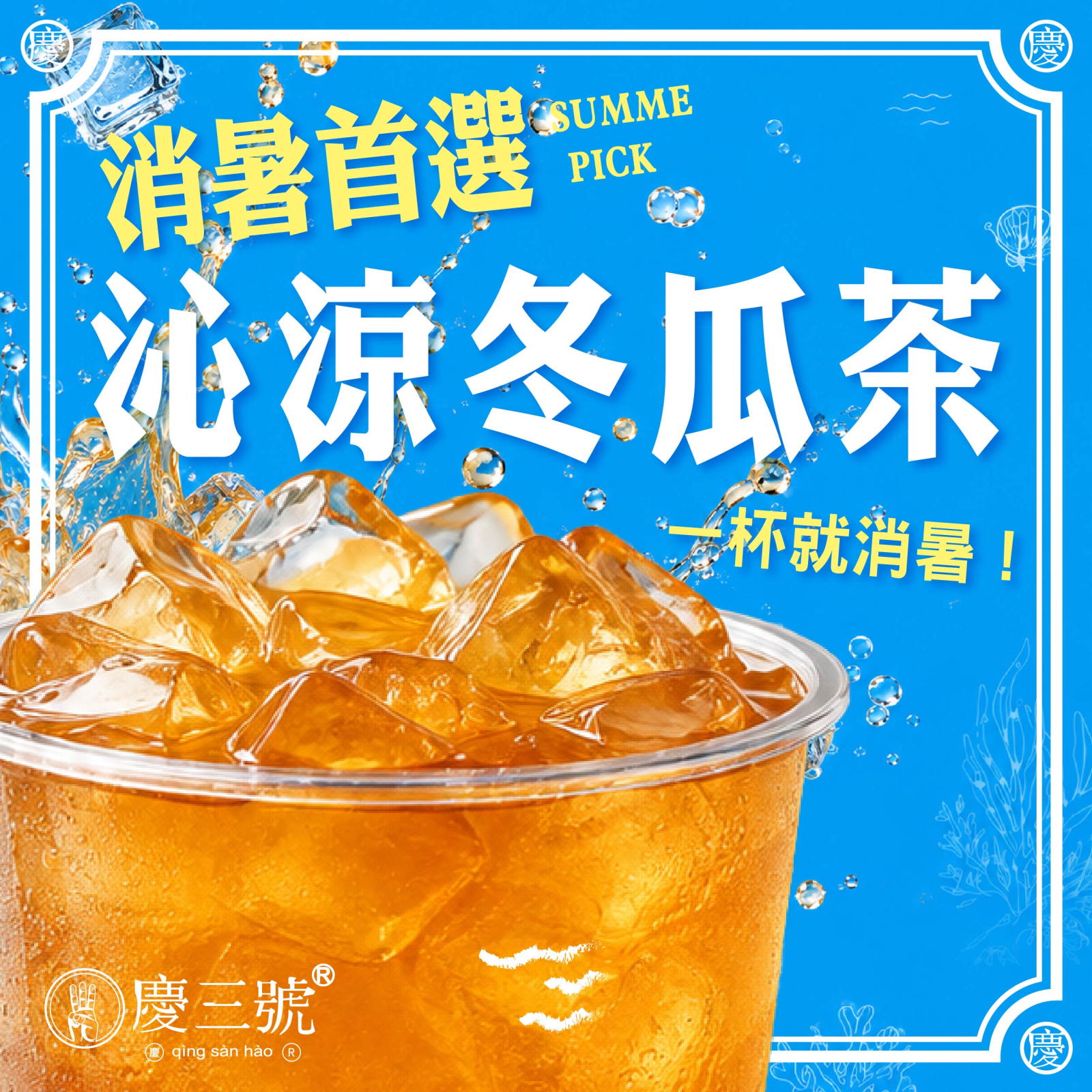 右文左圖